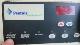 Service Heater Light - Propane Pool Heater - mouse nest