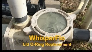 Skimmer Basket O Ring Replacement WhisperFlo Pentair