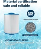 PAS50SV Hot Tub Filter Review